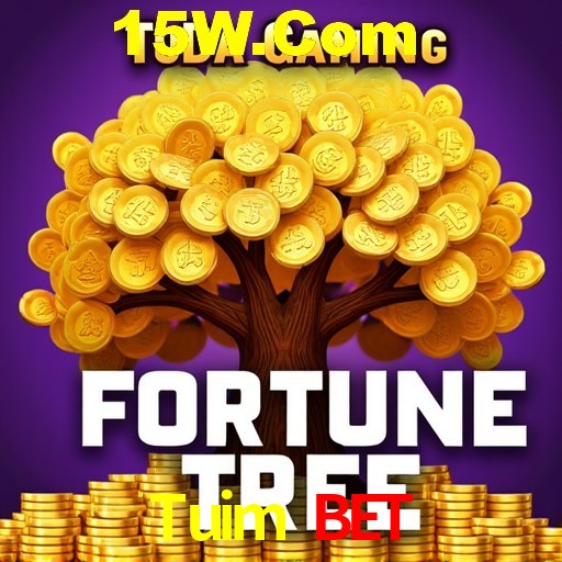 Descubra a Magia dos Jogos de Arcade no Tuim Bet