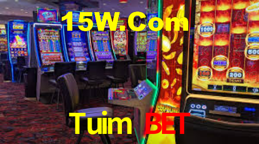 Sinta a adrenalina dos jogos de cassino com Tuim Bet