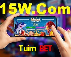 Roulette Table Tuim Bet